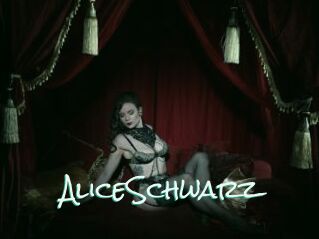 AliceSchwarz
