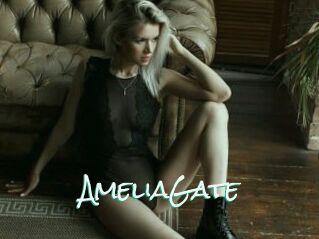 AmeliaGate