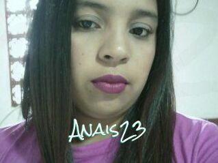 Anais23