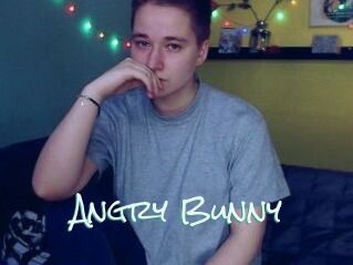 Angry_Bunny