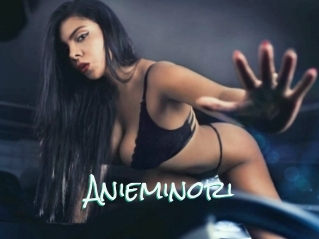 Anieminori