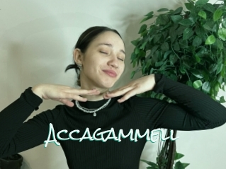 Accagammell