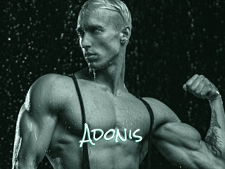 Adonis_