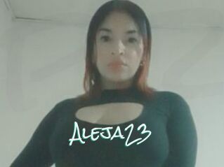Aleja23