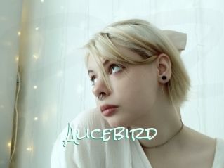 Alicebird