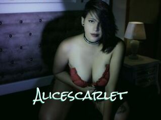 Alicescarlet
