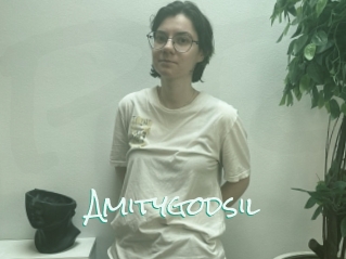 Amitygodsil