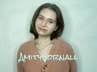 Amitygornall