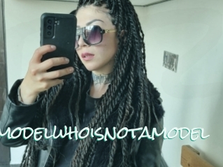 Amodelwhoisnotamodel