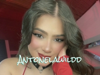 Antonelawildd