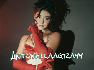 Antonellaagrayy