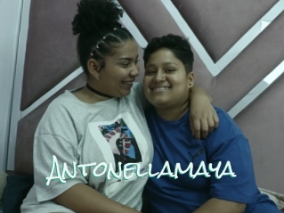 Antonellamaya