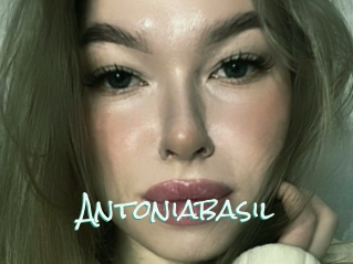 Antoniabasil