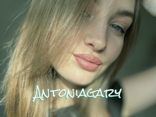 Antoniagary