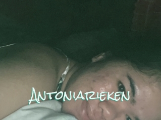 Antoniarieken