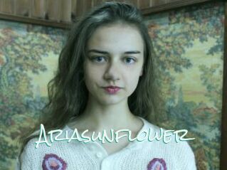 Ariasunflower