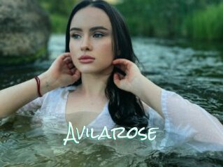 Avilarose