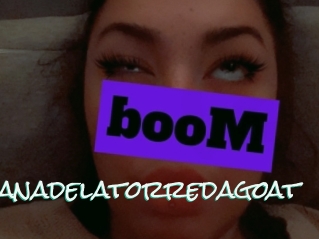 Ayanadelatorredagoat