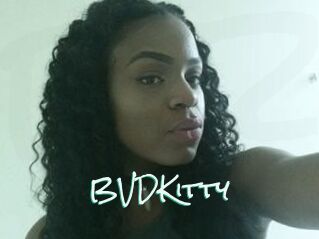 BVDKitty