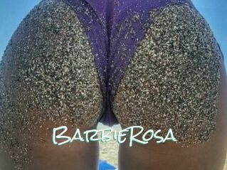 BarbieRosa
