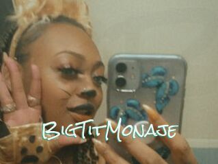 BigTitMonaje