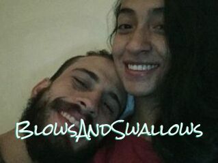 BlowsAndSwallows