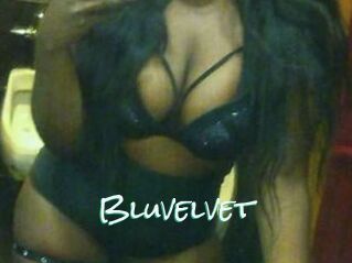 Bluvelvet
