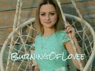 BurningOfLovee