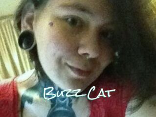 Buzz_Cat