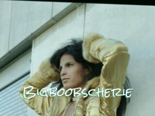 Bigboobscherie