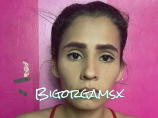 Bigorgamsx