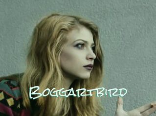 Boggartbird