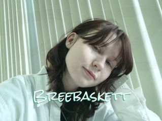 Breebaskett