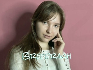 Breebrach