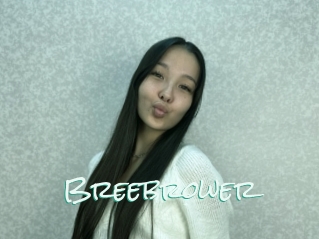 Breebrower
