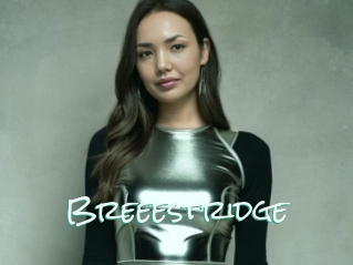 Breeestridge