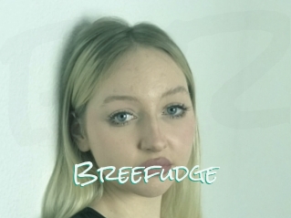 Breefudge