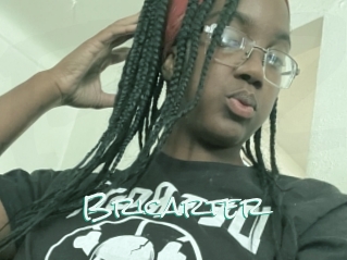 Bricarter