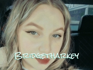 Bridgetharkey