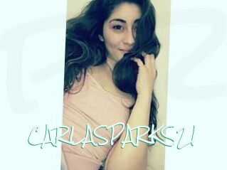 CARLA_SPARKS21