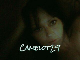 Camelot29