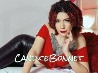CandiceBonnet