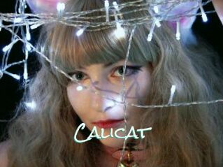 Calicat