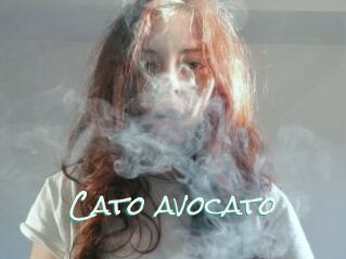 Cato_avocato