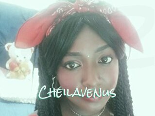 Cheilavenus