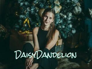 DaisyDandelion