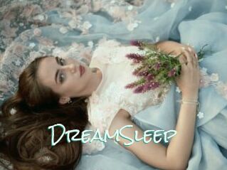 DreamSleep