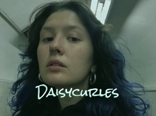 Daisycurles
