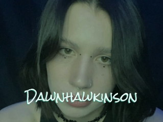 Dawnhawkinson