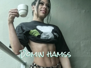 Domin_hamss